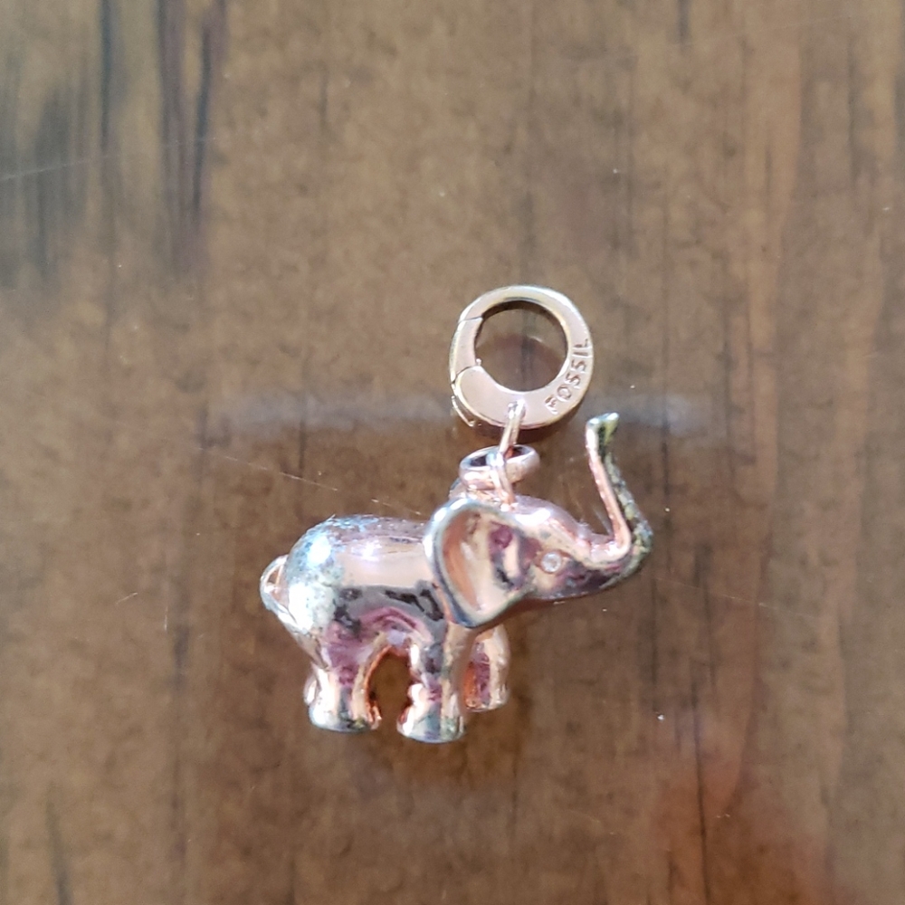 Fossil elephant charm